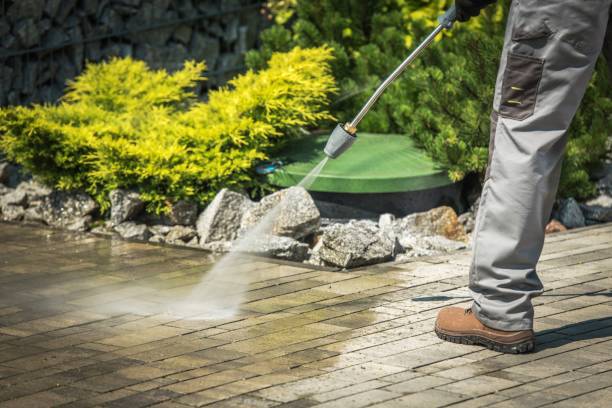 Best Animal Enclosure Cleaning  in Swartz Creek, MI