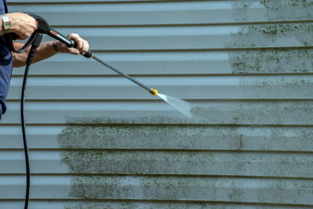Best House Exterior Washing  in Swartz Creek, MI